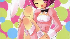 Bunny girls animal ears