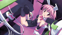 Bunny girls bunny suit