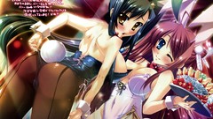 Bunny girls koihime musou