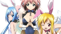 Bunny girls sora no