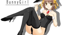 Bunny girls the melancholy
