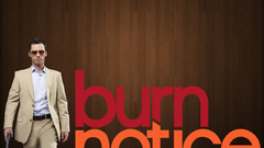 Burn notice jeffrey donovan