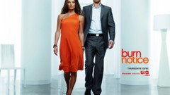 Burn Notice USA Network