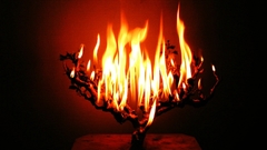 Burning bush flame Art