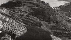 Burt glinn south end