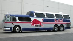 Bus Red Bull Greyhound Bus