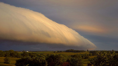 Bush like big high This Resolution rollcloud