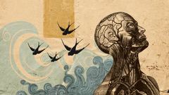 But This have anyone bigger does