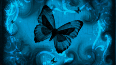 Butterflies