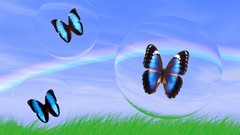 Butterflies