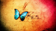 Butterflies abstract