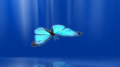 Butterflies abstract digital art fantasy art