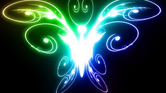 Butterflies abstract multicolor