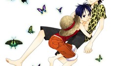 Butterflies ace monkey d luffy One Piece (anime)