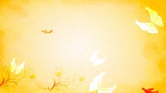 Butterflies afternoon