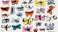 Butterflies Andy Warhol Incase