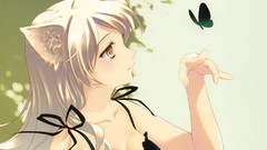 Butterflies Anime white hair hanekawa tsubasa cat ears 