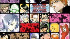 Butterflies bleach kurosaki ichigo inoue orihime kuchiki rukia 