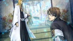 Butterflies doors bleach aizen sousuke Captains anime boys 