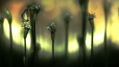 Butterflies fantasy art