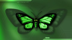 Butterflies Green