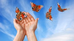 Butterflies hands skyscapes butterfly wings