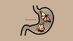 Butterflies high Resolution