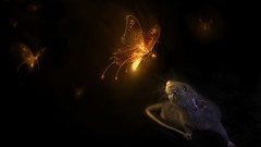 Butterflies light abstract mice