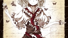 Butterflies long hair anime girls touhou alice margatroid video 