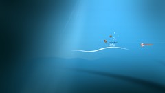 Butterflies multicolor