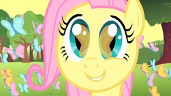 Butterflies my little pony Fluttershy