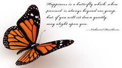 Butterflies Quotes