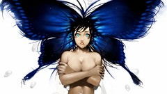 Butterflies wings artwork