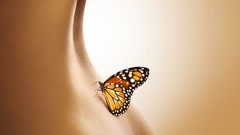 Butterflies woman back nude