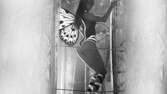 Butterflies woman dancing brunettes dancers panties sailor 