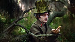 Butterflies Wood forests