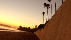 Butterfly beach