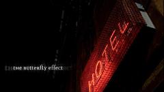 Butterfly effect insect