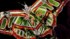 Butterfly insect fractalis