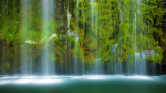 Bwaternm Manga Anime