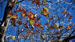 By yabbles kinda like