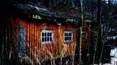 cabin Wood nature winter old