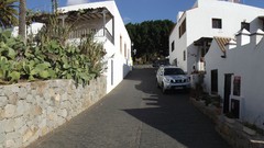 Cactus daylight streets Villages fuerteventura
