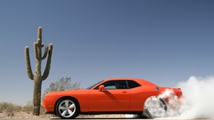Cactus vehicles dodge challenger 2008 burnout Dodge Challenger 