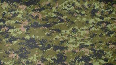 Cadpat heresome though itnot