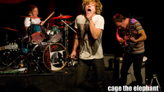 Cage The elephant Animals