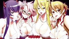 Cake anime girls highschool of the dead busujima saeko boobs 