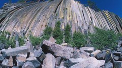 California devil Mammoth Lakes