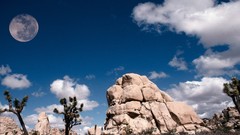 California full moon joshua tree national park