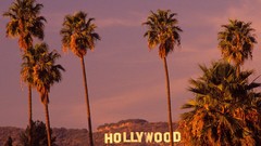 California Hollywood palm trees